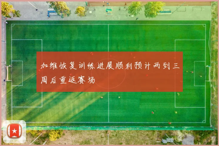 加维恢复训练进展顺利预计两到三周后重返赛场